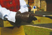 Chester Jefferies Dark Brown glove.jpg